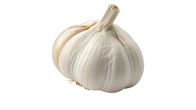 Whole raw unpeeled white garlic bulb fresh organic vegetable isolated on transparent background png