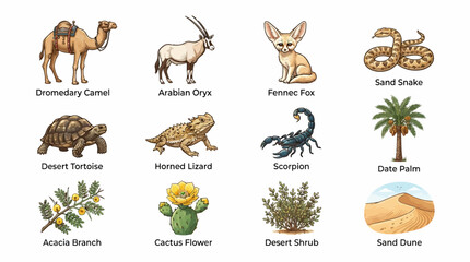 Obraz premium Illustration set of desert animals and plants with labels, featuring camel, oryx, fox, snake, tortoise, lizard, scorpion, palm, acacia, cactus, shrubs, and sand dune, on a white background.