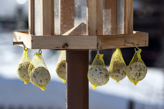 Bird_Feeder