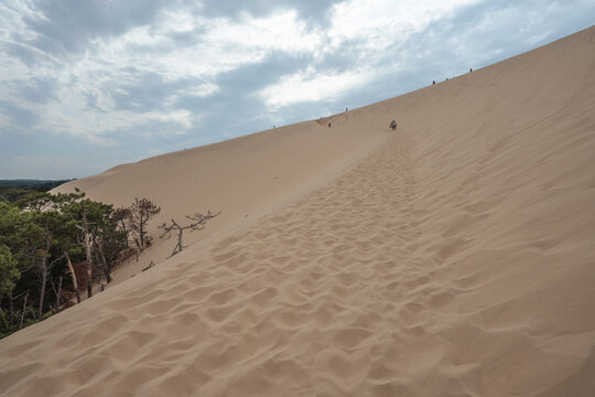 Dune du Pilat