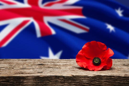 Poppy pin for Anzac Day. Poppy flower on old beautiful high grain, detailed wood on Australia flag background.