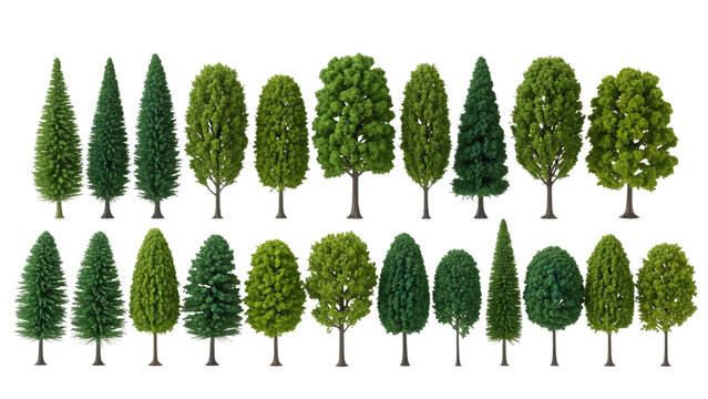 Assorted miniature trees with varied foliage and shapes displayed against a bright even illumination