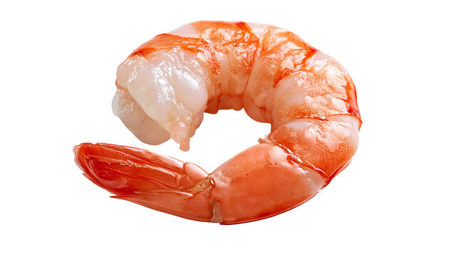 Fresh cooked peeled king prawn tail with orange and white flesh