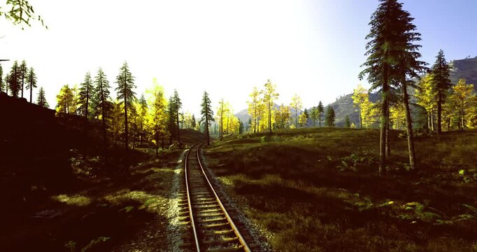 Misty forest track railway stretching toward distant ridge, pale light filters through trunks, quiet underbrush and shadowy slope create moody cinematic