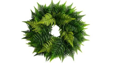 Lush green fern leaf wreath with detailed fronds arranged in a circular shape © Maria