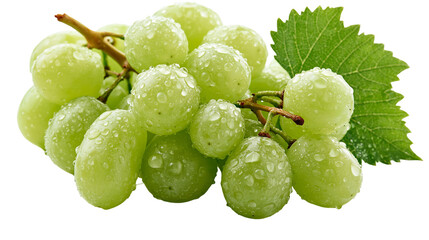 Fresh green grapes cluster with water droplets and a single vine leaf © Maria