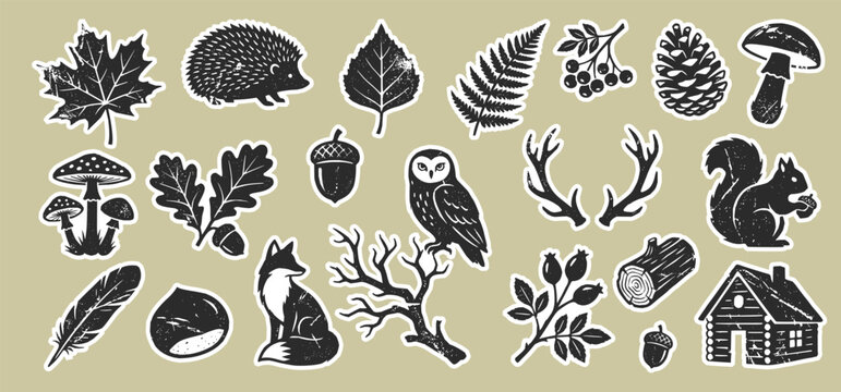 Woodland autumn vector stickers bundle. Linocut forest element owl fox hedgehog. Woodland animals illustration print set. Autumn forest vintage t-shirt design.