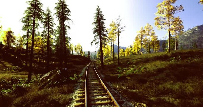 Rail tracks winding through sunlit meadow toward distant mountains, vintage atmosphere with wooden sleepers and overgrown verge, warm late afternoon glow, sense