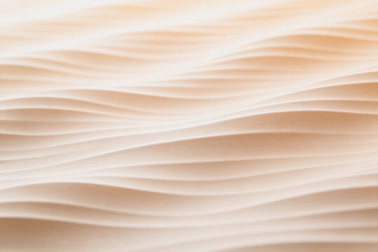 Soft, smooth undulating sandy dunes form gentle parallel curves in warm beige tones, creating a serene natural landscape with clean organic flow.