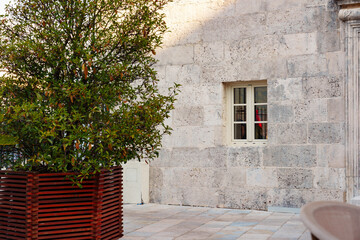Obraz premium Building wall with a window and a plant in a wooden pot in an outdoor area