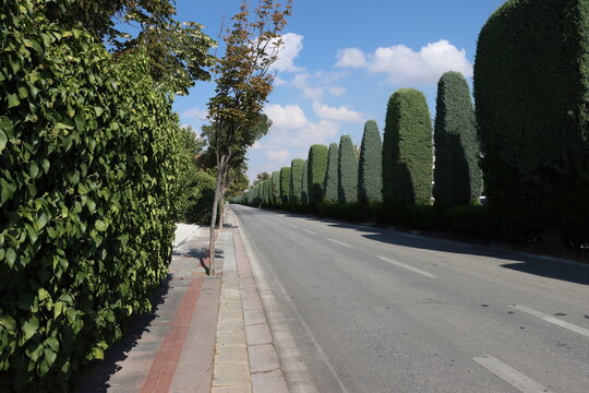 A main street located in the Meram district of Konya. Meram Yeni Yol Avenue was opened in 1938.