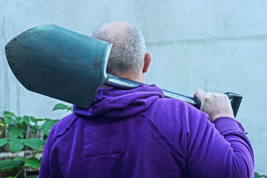 A man in a purple hoodie carries a garden iron sharp shovel on his shoulder, heading to the workplace. An outdoor scene near the house, the theme of gardening, site repair and physical labor.