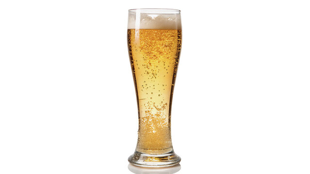 Tall elegant glass of fresh cold beer with white foam isolated on transparent background