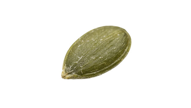 Single raw green pumpkin seed organic pepita superfood isolated on transparent background
