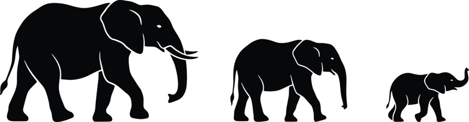Black silhouette of an elephant family walking in a line, featuring a large a medium-sized juvenile, and a small baby elephant © Rakibujjaman