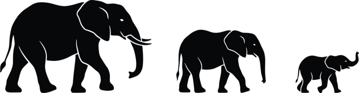 Black silhouette of an elephant family walking in a line, featuring a large a medium-sized juvenile, and a small baby elephant