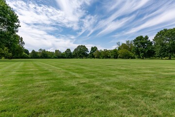 Obraz premium The Open Field in a Serene Park Under a Bright Blue Sky