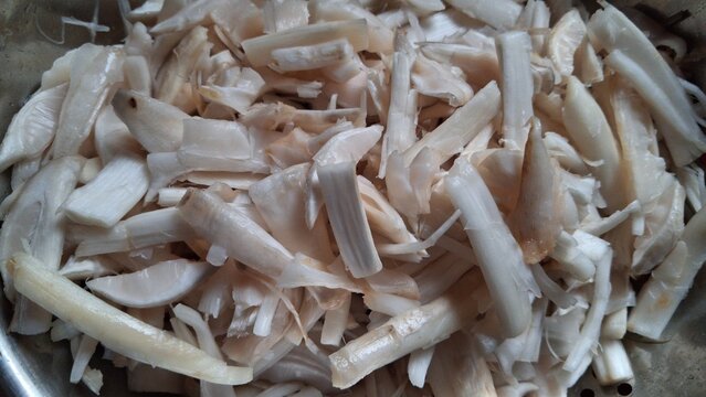 Desi village white Mushroom ,These are fresh white mushroom with convex cap and long stems. Grow in forest soil, their surface features traces of brown soil and a rough texture,The image shows fresh 