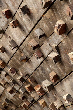 Close-up of wooden dhow hull treenails, Mandvi, India