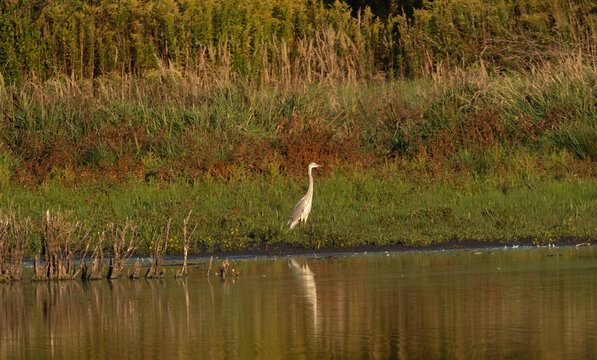 Potash Mountain by lake and forest