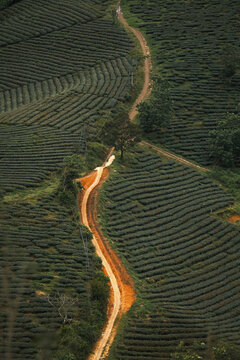 Da Lat city, Viet Nam 2024