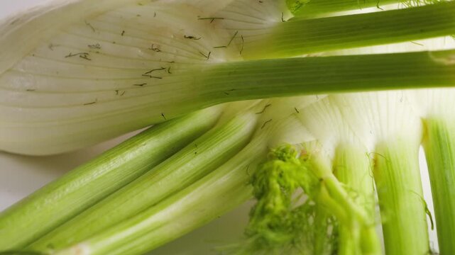Close up of a fresh fennel bulb with green stalks and fronds showing the layered texture.