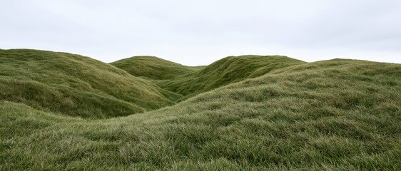 Obraz premium Gently rolling grass-covered hills under an overcast sky