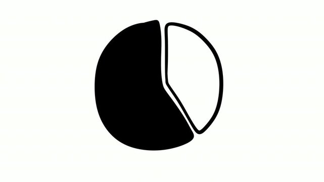 Hand drawn infographics set animation with business graphs and circle pie charts on white background