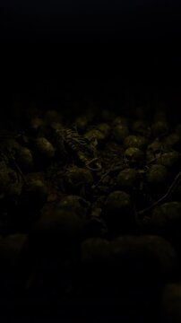 Land Of Death