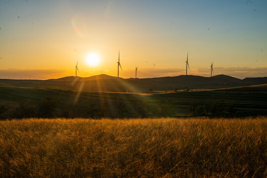 Wind Turbines Bathed in Golden Sunset Glow.