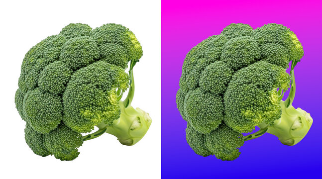 Fresh green broccoli florets vibrant background