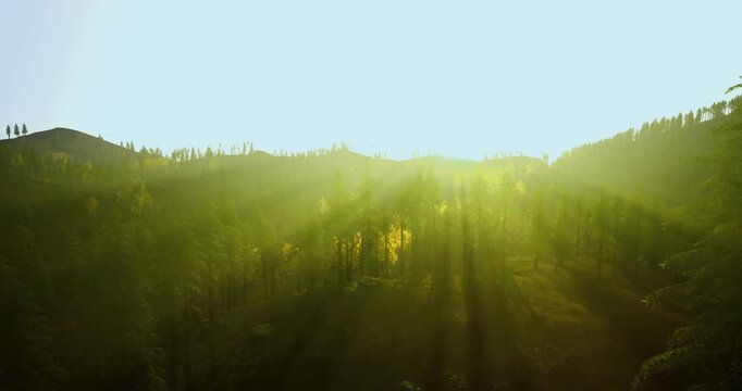 cinematic golden hour over pine ridge with hazy atmosphere and layered shadows creating depth and mood, ideal for travel, lifestyle and editorial storytelling