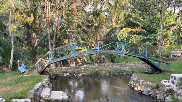 bridge over the river