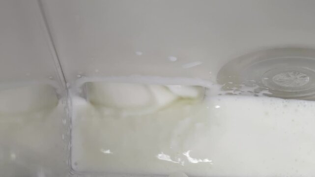 Ice cream maker, freshly made homemade ice cream.