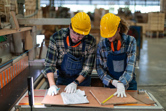 Inside a woodworking space, a carpenter measures plywood alongside her colleague using a tape measure in the wood workshop.