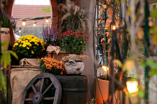 Cozy autumn porch decor with vibrant chrysanthemums and rustic wooden barrel and wagon wheel