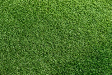 Fototapeta premium The Grass Field: Lush Green Lawn Texture Captured in Aerial Topview