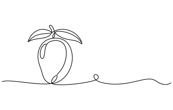 Continuous single line drawing of a fresh mango fruit with leaves Vector, illustration