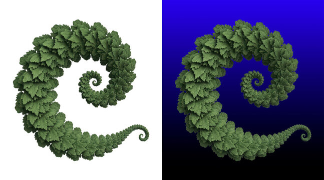Intricate fractal fern plant design with spiral pattern