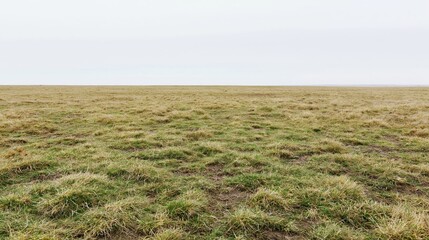 Obraz premium Wide low-angle view of a flat grassy field stretching to the horizon under an overcast sky