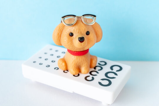 視力検査表と眼鏡をかけた犬　動物の視力　老眼　近視　遠視　乱視　眼科