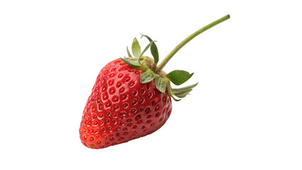 Single fresh ripe red strawberry berry fruit with green stem isolated on transparent background © Raya Richards