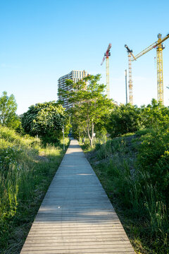 Wooden walkway crosses green space toward construction cranes and modern development in Vienna, Austria, forming an urban landscape around the development.