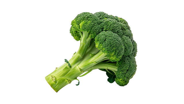 Fresh green broccoli floret raw organic healthy vegetable isolated on transparent background