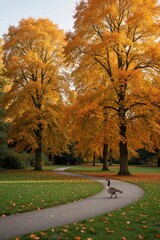 Obraz premium Single goose walks on curved path in autumn park. Tall maple trees with yellow orange foliage surround walking trail. Golden leaves cover green grass during fall season. Peaceful nature landscape