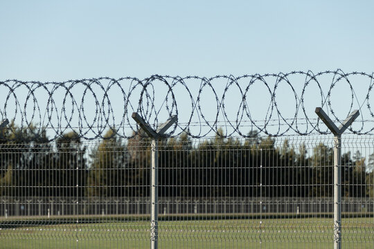 Security fence topped with coiled barbed wire beside a grassy open field and tree line under a clear blue sky, outdoor perimeter barrier