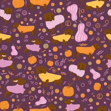 Seamless pattern with cute brown dachshund dogs in cozy knitted sweaters and autumn pumpkins on a dark purple background.