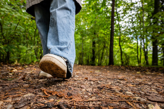 Person Walking Along Woodland Path in Dirty White Sneakers