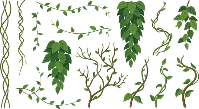 Green vine branches and leaves vector illustration with copy space for design