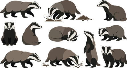 Various Badger Poses in Flat Vector Style with Natural Elements © ABUL